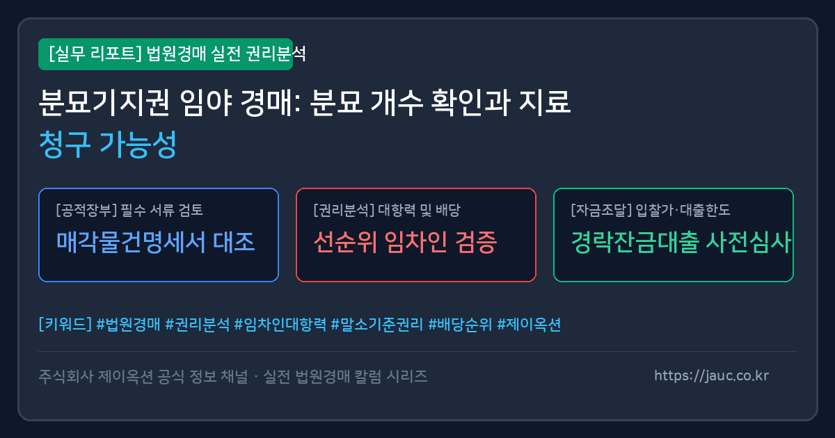 분묘기지권 임야 경매 체크리스트 및 지료 청구 안내 인포그래픽